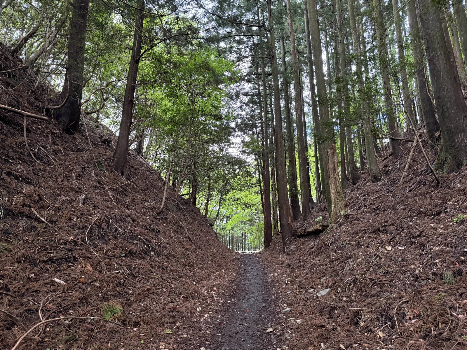 熊野古道中边路纪行