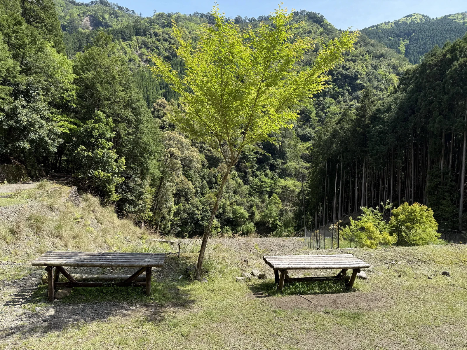 熊野古道中边路纪行