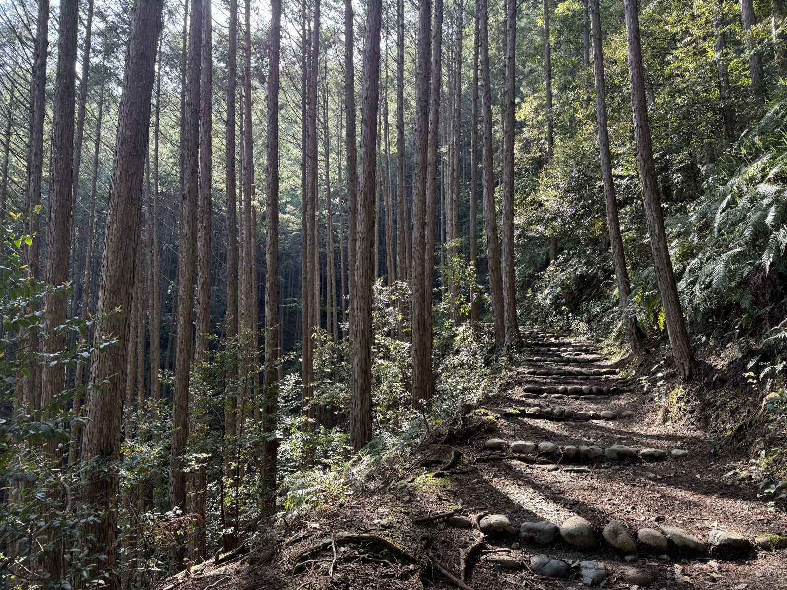 熊野古道中边路纪行