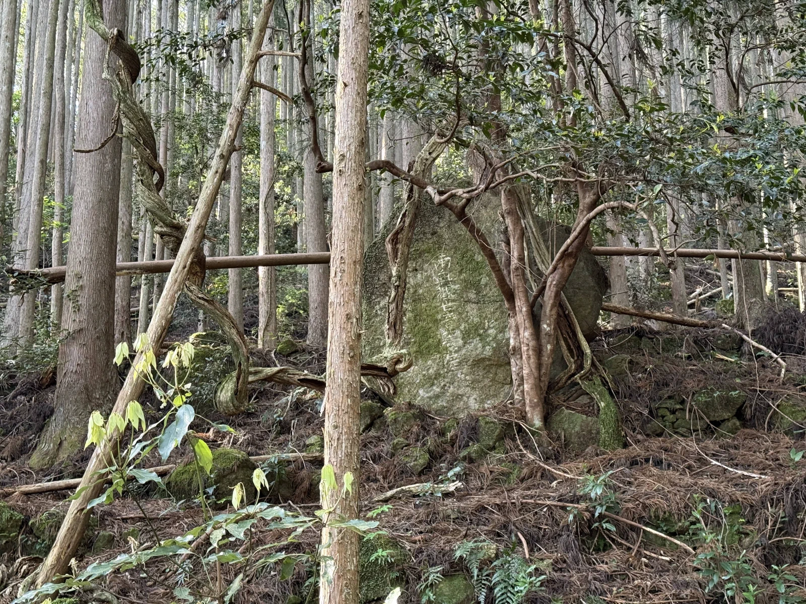 熊野古道中边路纪行